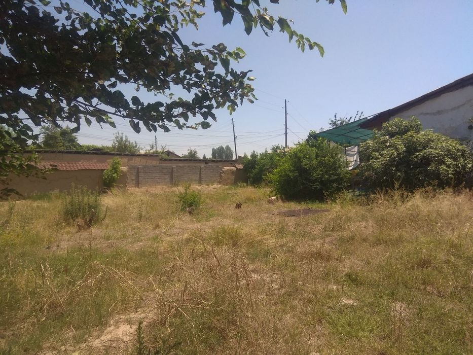 Yer sotladi sirochniy Yangi yol tumani  5.3 sotik