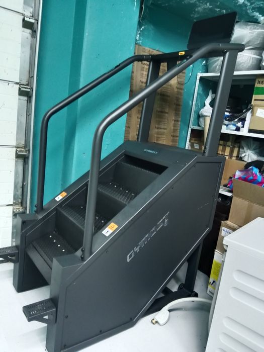 Тренажёр лесница