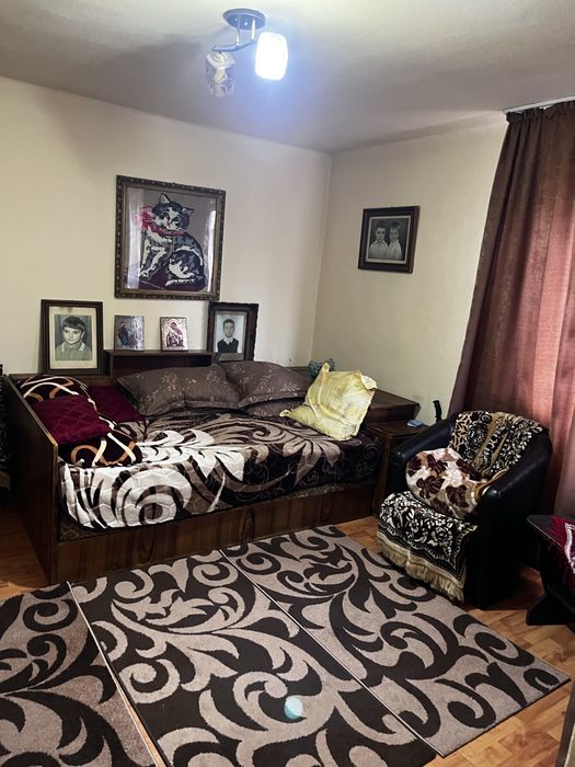 Casă + 2571 mp teren + potențial comercial în Strehaia, aproape de strada principală