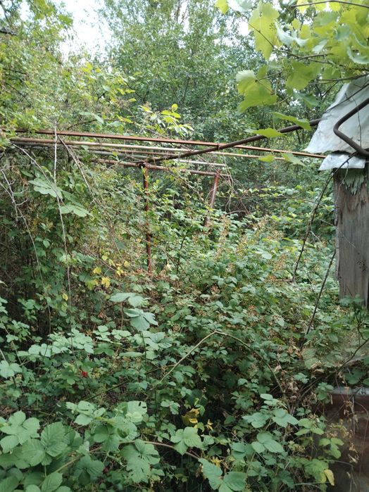 Продава се Парцел в с. Долно Камарци, Област София-област - 1148 кв.м за 14 €/кв.м - Снимка #5