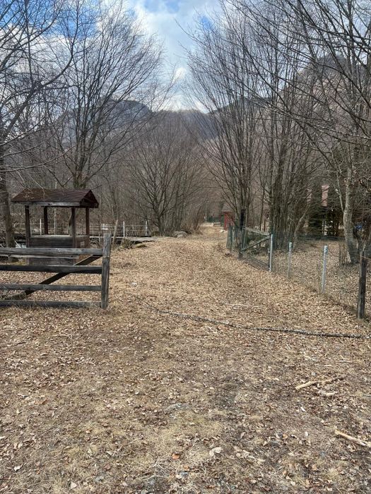 Teren generos de vanzarea - ( Marisel - Ruseşti )