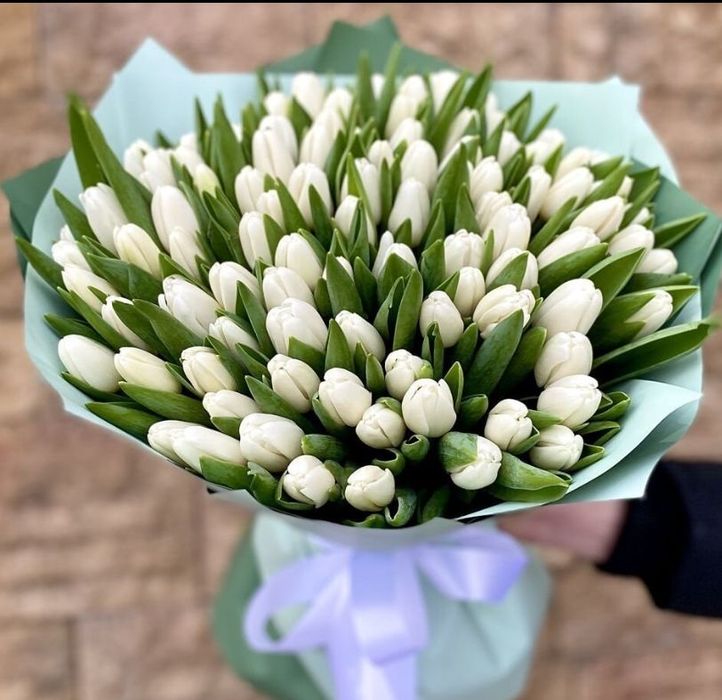 Тюльпаны предзаказ