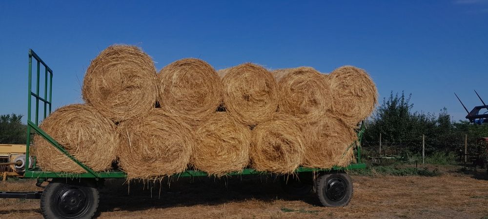 Baloti ovaz,fân,lucernă