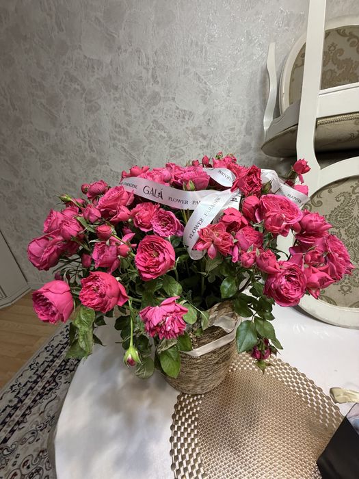 Бүгінгі азанда алынған гүл