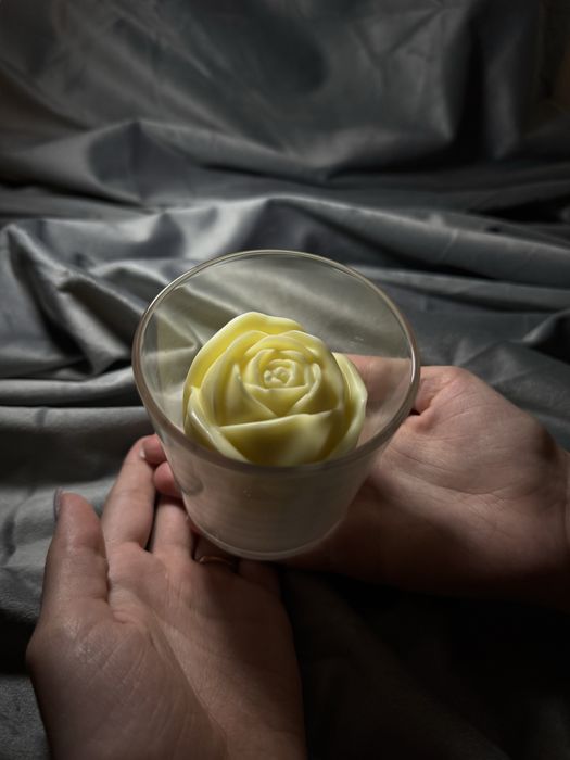 Бокс с СУБЛИМИРОВАННЫМИ фруктами и мороженым