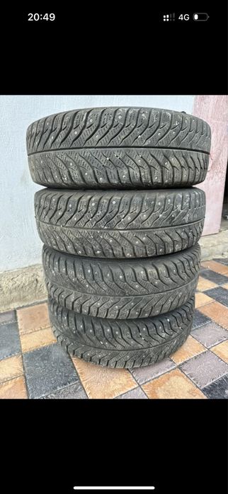 Соныры на зиме r14