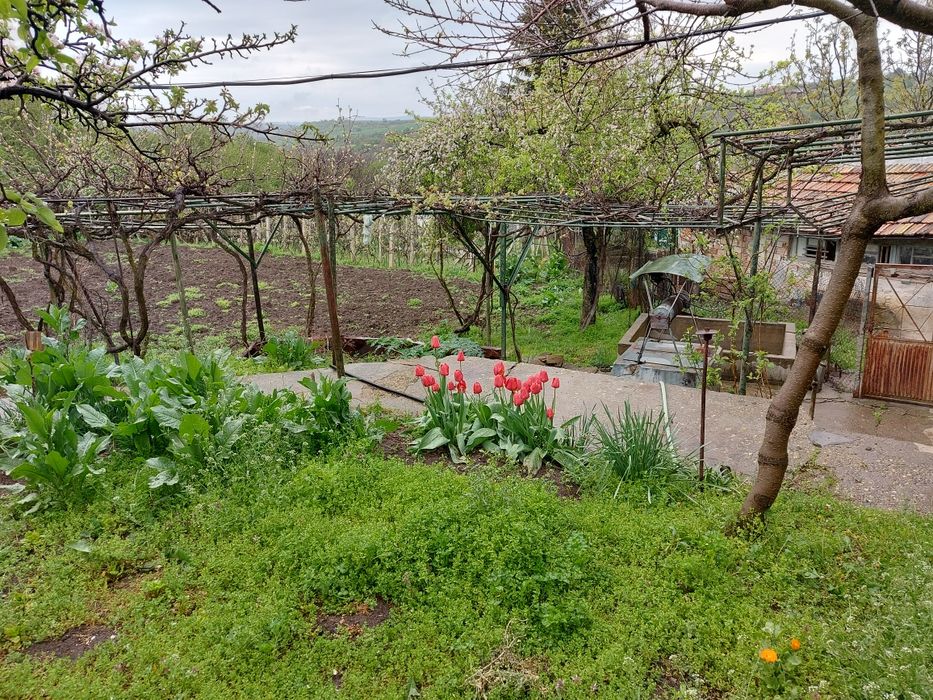 Продава се Къща в Горна Оряховица - 130 кв.м за 157 €/кв.м - Снимка #22