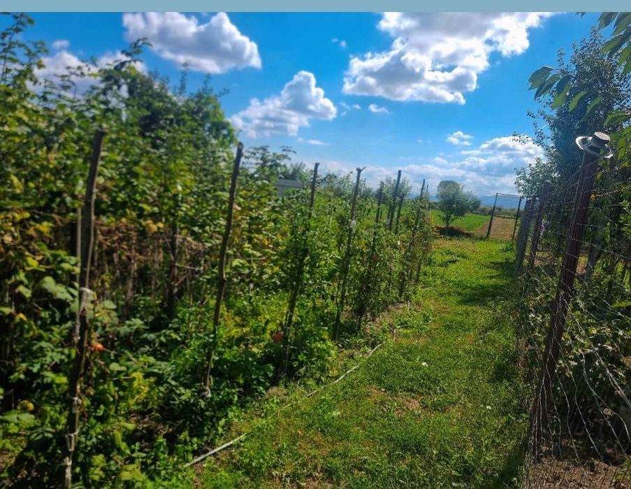 Casa de vanzare Crizbav -20 km de Brasov