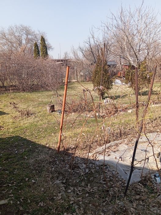 Продам  Дачу в Талгарских дачах