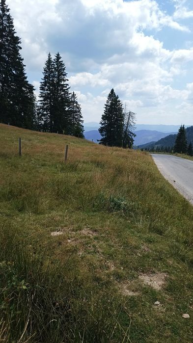 Продава се Парцел в к.к. Пампорово - 5500 кв.м за 29 €/кв.м - Снимка #10