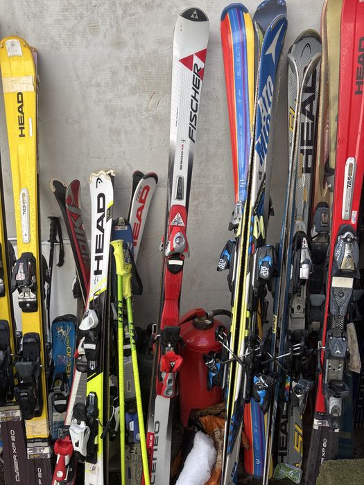 Schiuri adulti si copii