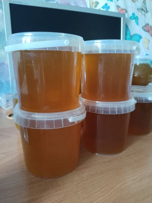 Мёд разнотравье с села Быструха