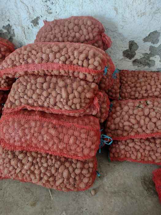 Vând cartofi pt animale