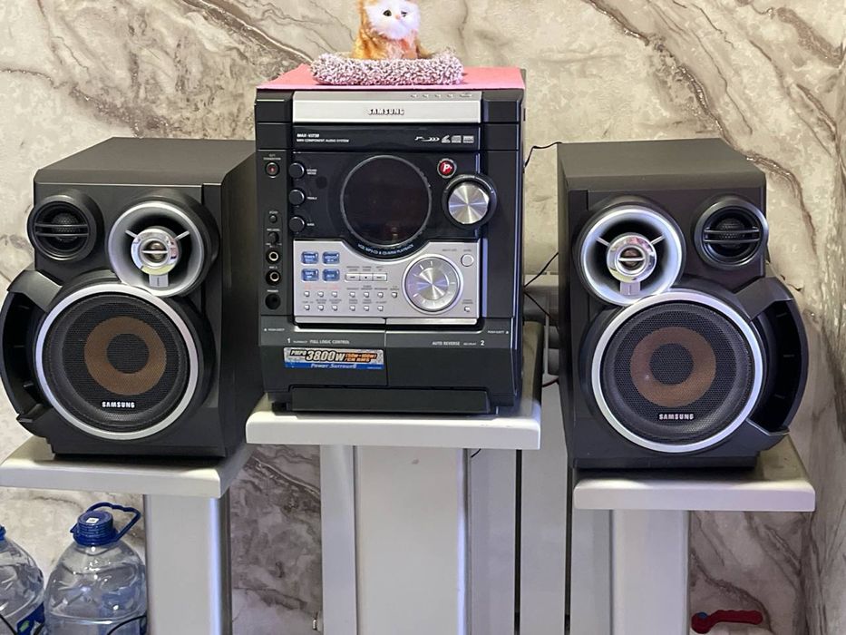 Muzikalniy sntir sotiladi