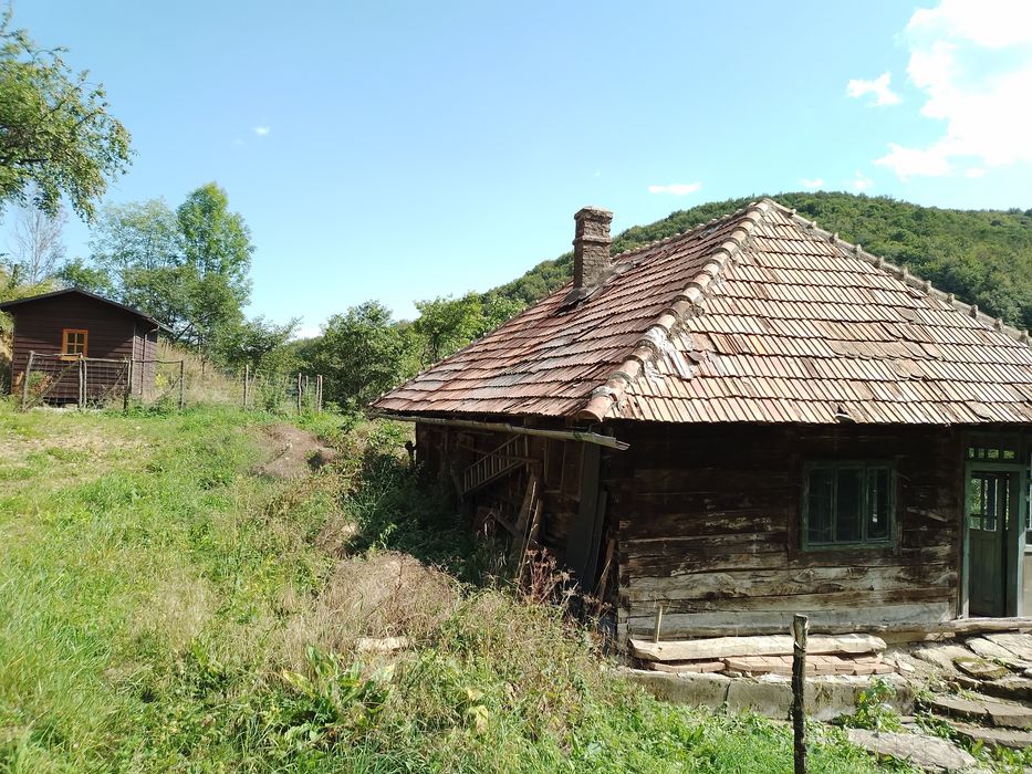 Casa traditionala Ramet 1.3 ha plus padure 3000m2  schimb mb trac 1600