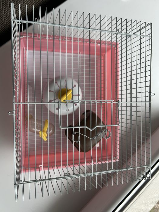 Клетка для грызунов