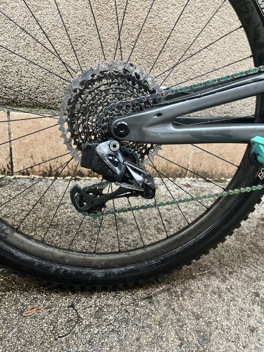 Forbidden Druid 2023