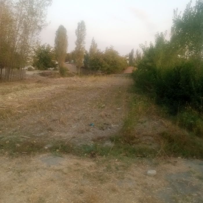 Йер сотилади, жомбойда 20 сутик