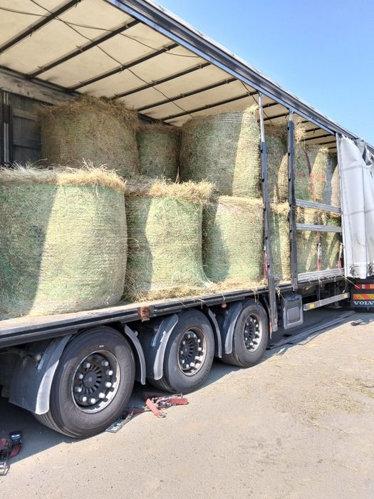 Baloti lucerna sau fan.Livrare in toata tara la TIR 40 rotunzi 1,2x1,2 sau 500 dreptunghiulari. Transport inclus Nu ducem la bucata