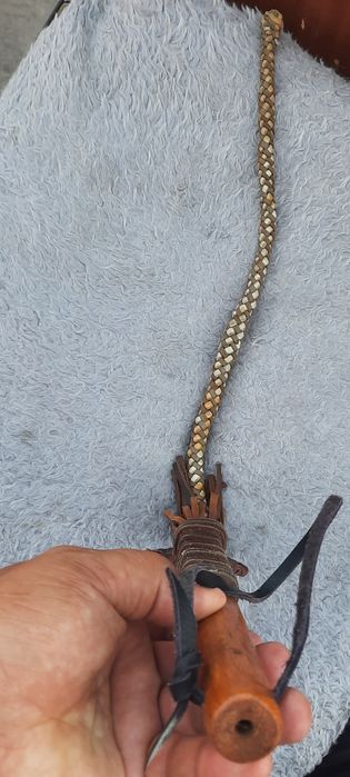 плеть (также плётка) инструмент