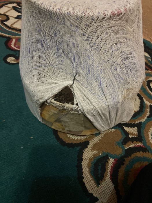 продаются поющие перёлки молодые