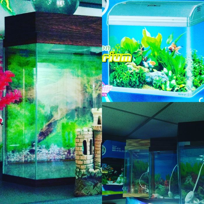 фильтр для аквариума в Афалине