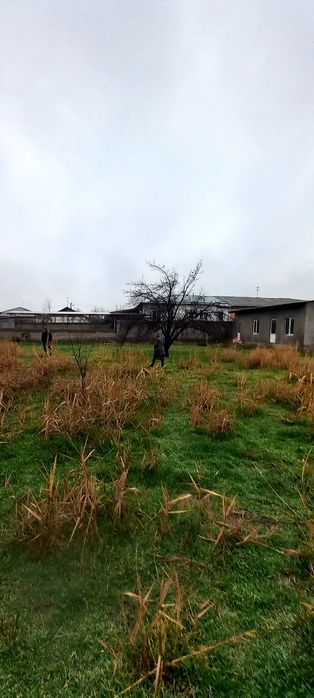 Сурум Куйчирчикский район земля 20 соток.