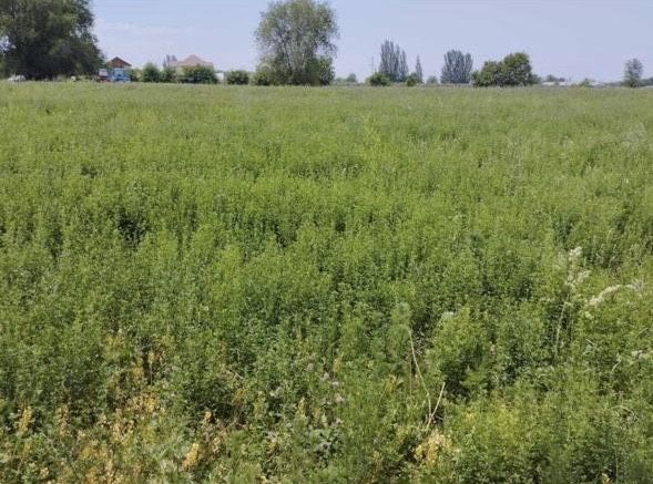 Поля на продажу