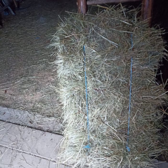 Vând baloți de fan