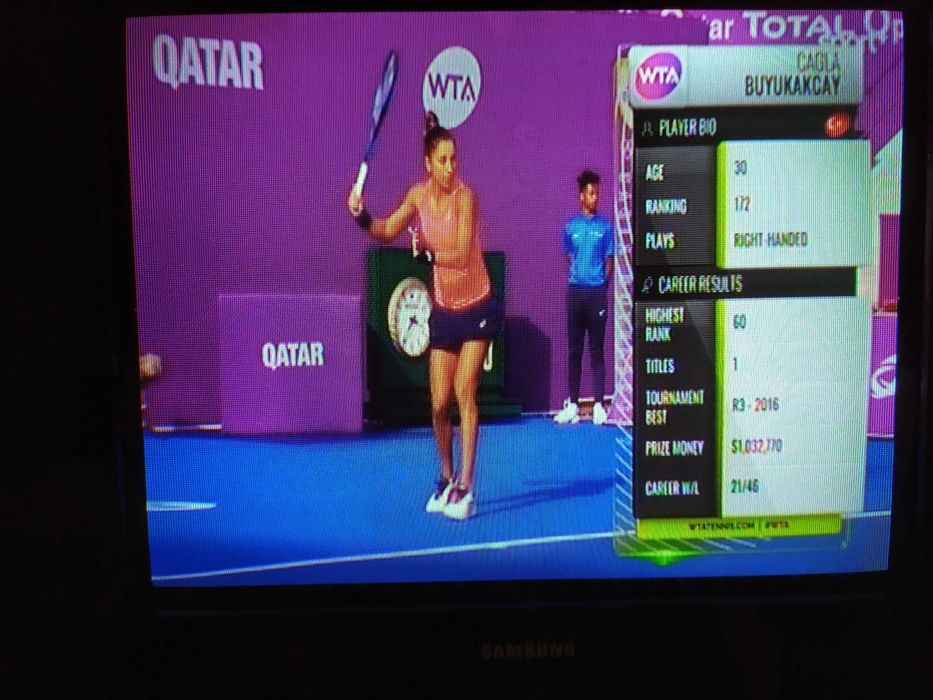 Телевизор Samsung CW-21Z573N