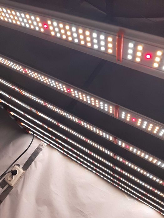 PATRON 650w 8 bars led full spectrum grow light