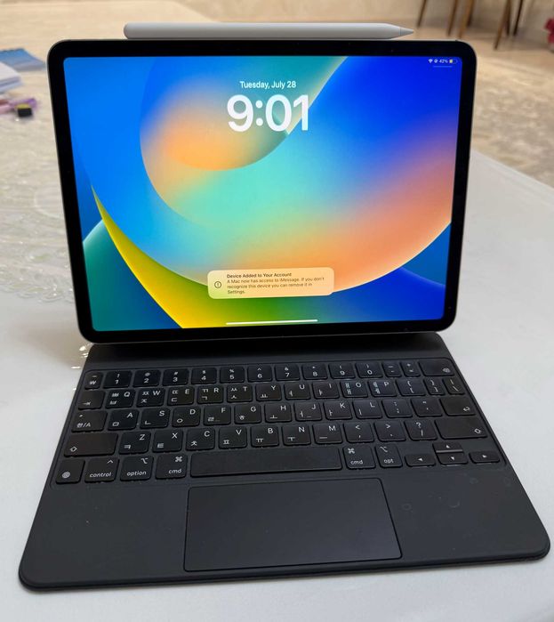 ipad 11 m2 chip wi-fi+cellular