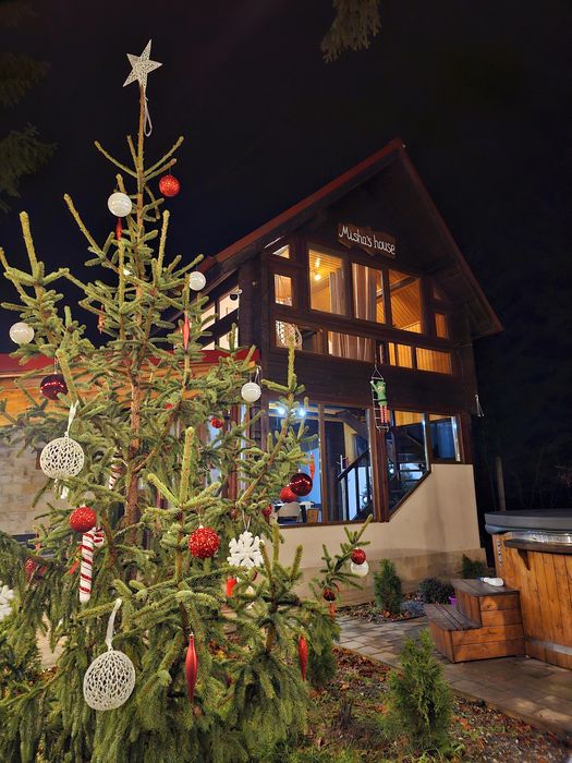 Cabana 6 persoane, doua dormitoare Valea Avrigului