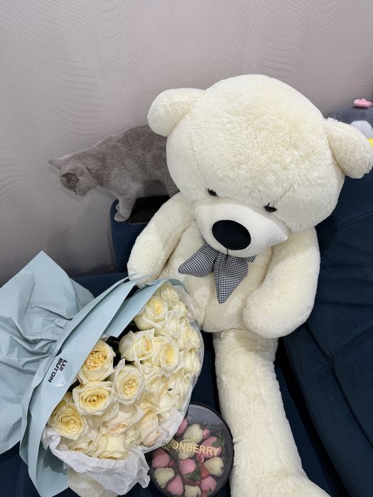 Продается белый мишка