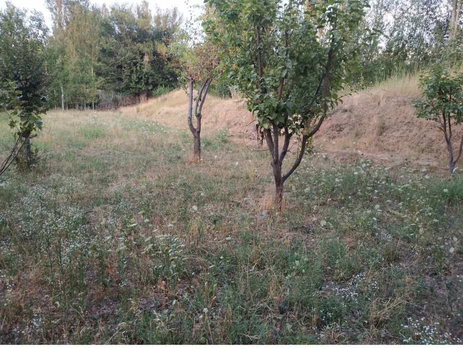 Участок Кибрай маданият