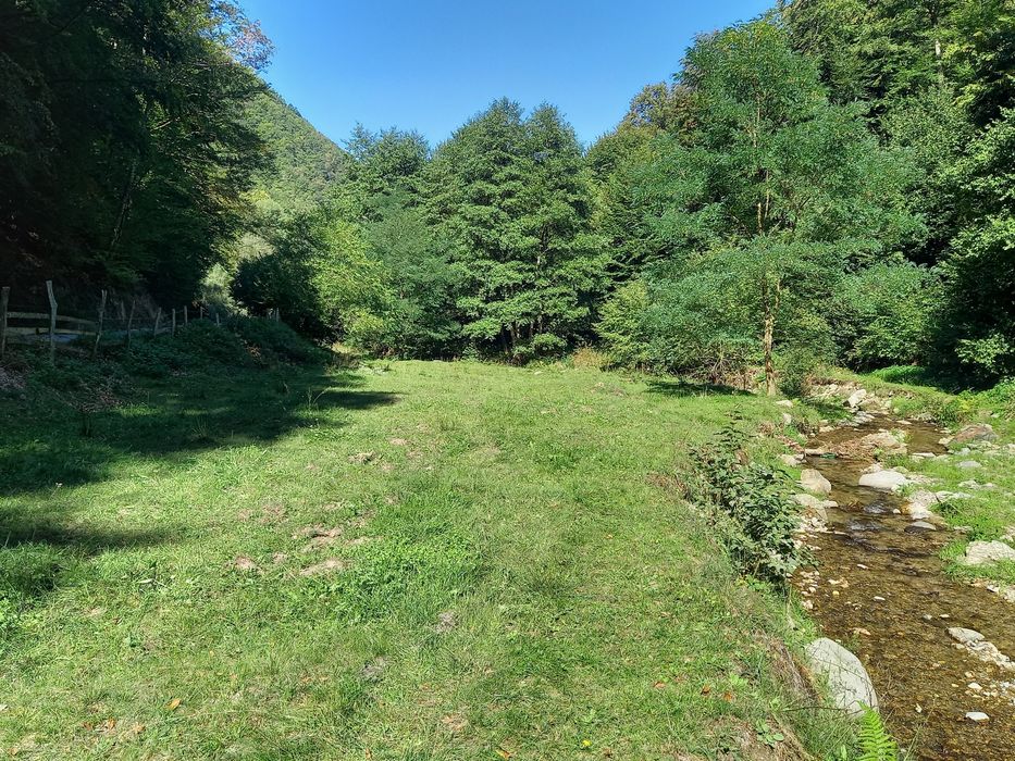 Teren de cabana pe Valea Recii( sat Strungari)