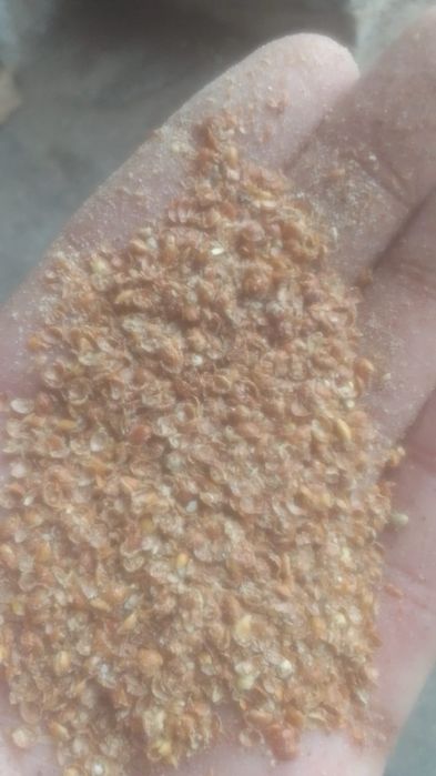 Зерноотходы Отруби Полова корм