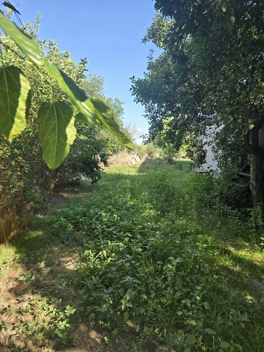 Teren si casa din chirpici