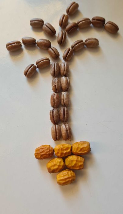 Семена от студоустойчива палма