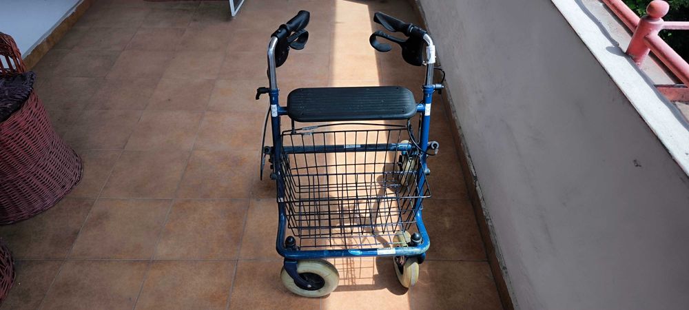 Căruț cu scaun pentru cumpărături !