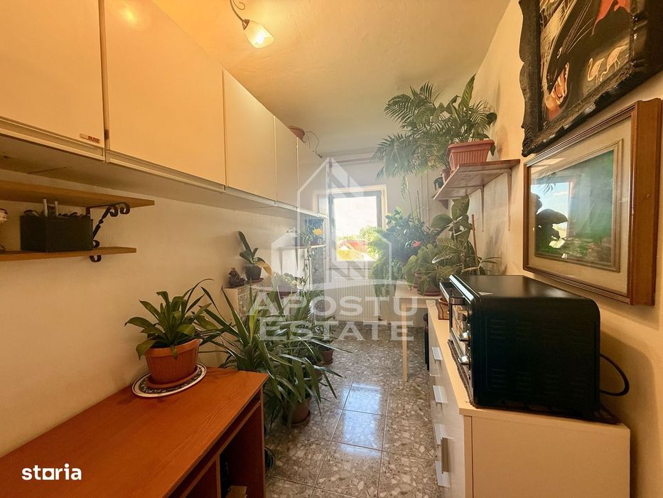 Apartament 1 camera de vanzare, zona Lunei, Timisoara