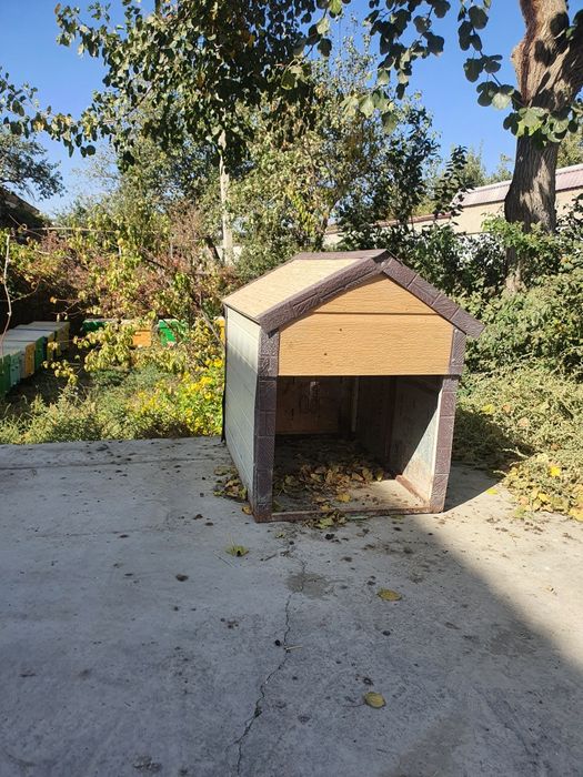 Кучук уйчаси сотилади.