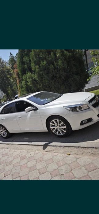 Malibu 1.  3-pazitsia