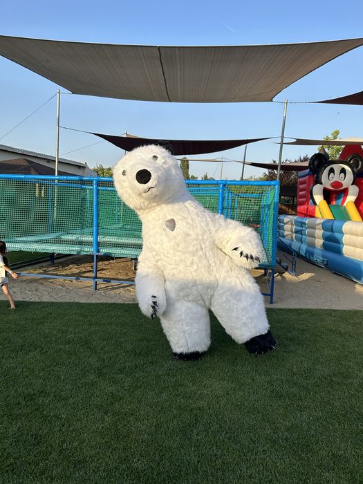 Surprize cu ursul gigant Biju