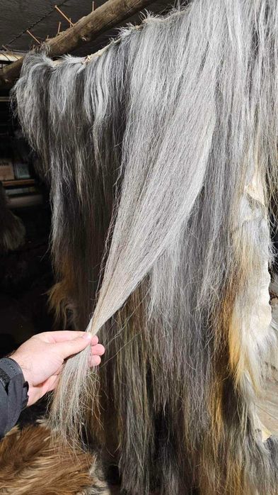 Кожи за кукерски фестивал