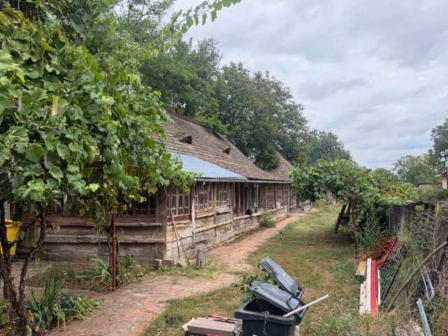 Casă cu curte generoasă (3.000 mp) — Ciorogârla, Ilfov