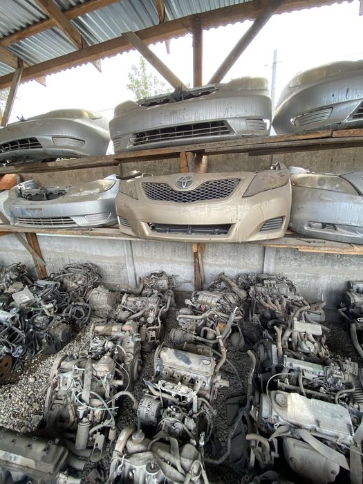 Ноускаты(Мини-морды) Камри 40-45