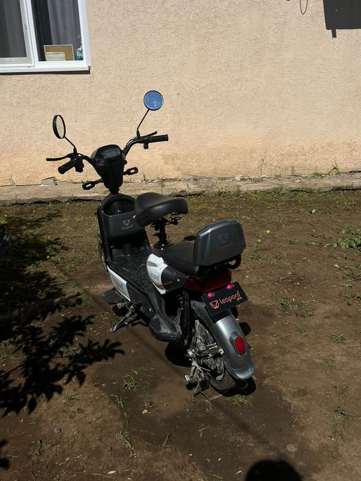 Леопард про продам
