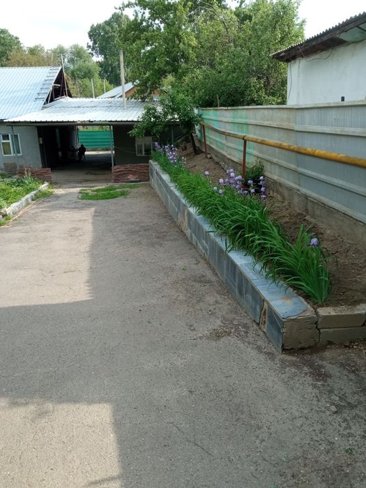 Продам  дом в Каскелене район плодик