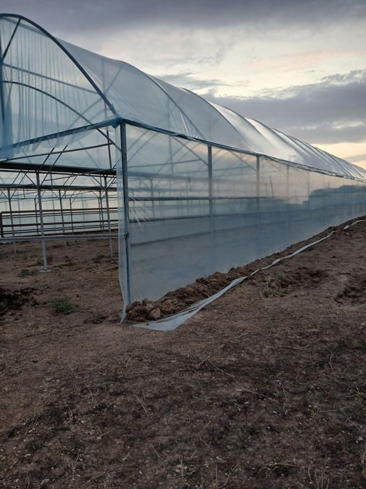 Пленка Б/У теплица